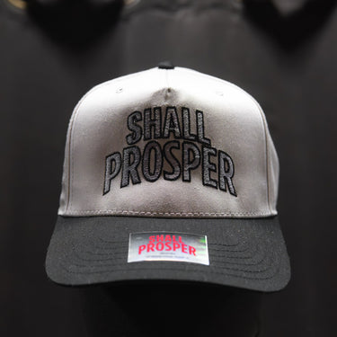 Shall Prosper "Never Giving Up" SnapBack